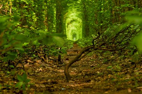 «Tunnel of Love»
