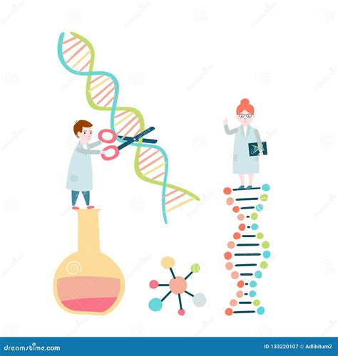 科学家 脱氧核糖核酸结构，染色体程序化 向量例证 插画 包括有 细胞核 少许 研究 图标 例证 133220107