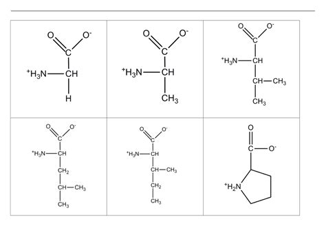 Flashcards Te Kennen Structuren Biomoleculen Biomoleculen En