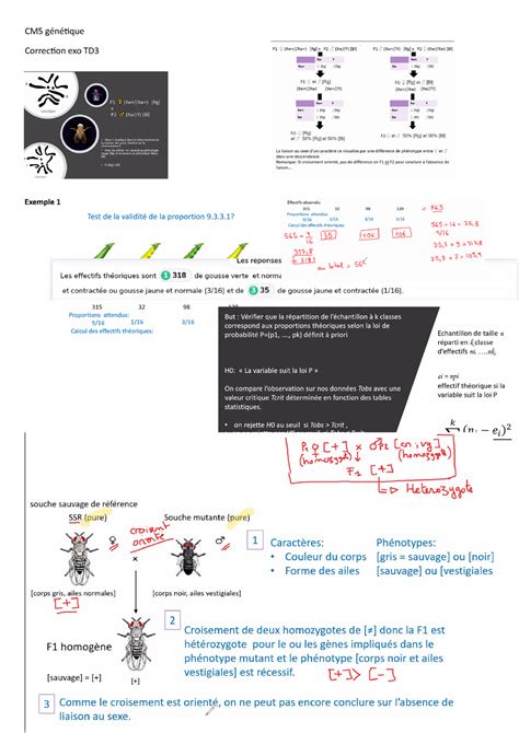 CM5 cours magistraux Génétique GAME 1 CM5 génétique Correction