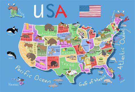 Usa Map For Kids, Maps For Kids, United States Map, 50 States For ...