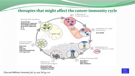 Il Trattamento Farmacologico Dei Tumori Rari Ppt Scaricare