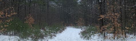 Railroad Grade And West Side Trails MTB Loop New Hampshire 44