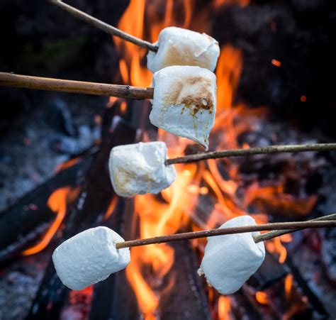 How To Perfectly Roast A Marshmallow Oryana Community Co Op