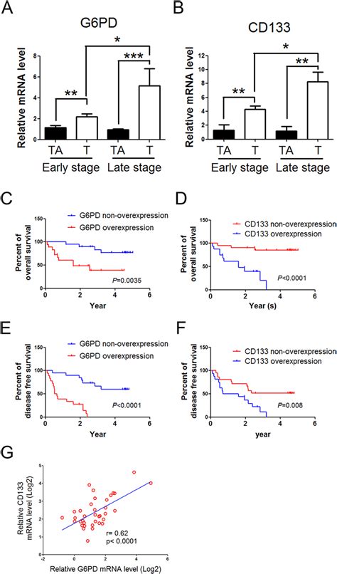 The Positive Correlation Between G6pd And Cd133 Expression Levels In