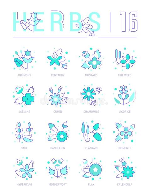 Set Blue Line Icons Of Herbs Stock Illustration Illustration Of