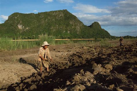 Conservation news - Environmental science and conservation news