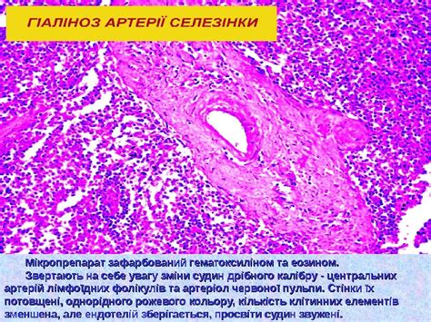 Презентация ПМК-1 практ