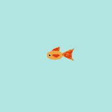 Swimming Fish GIFs | Tenor