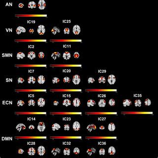 Spatial Maps Of 18 Independent Components A Total Of Six Resting