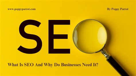 What Is Seo And Why Do Businesses Need It