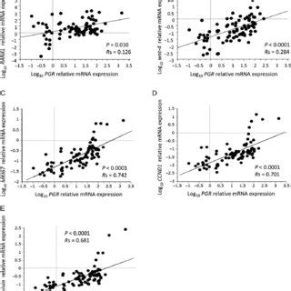 Relationships Of Esr Mrna Expression With Erg And Proliferation Gene