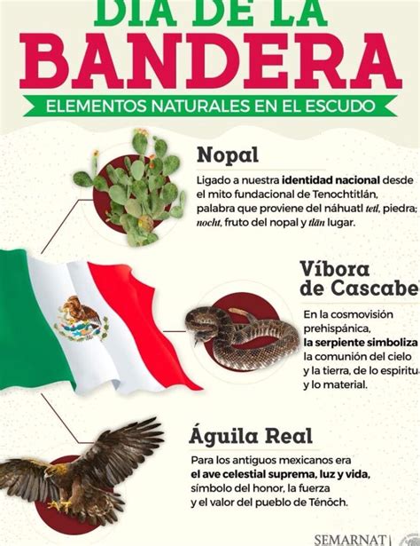 Significado De La Serpiente En La Bandera De México Tu Significado