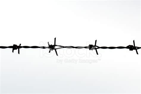 close  barbed stock photo royalty  images freeimages