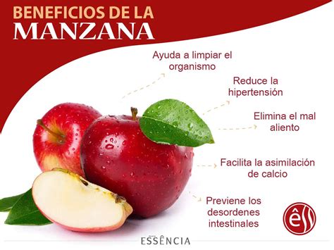 Beneficios De Comer Manzanas Revistaessencia Food Vegetables Radish