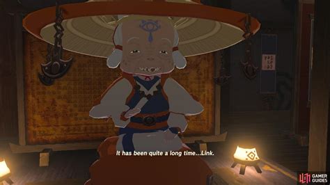 Seek Out Impa Walkthrough Story Quests The Legend Of Zelda