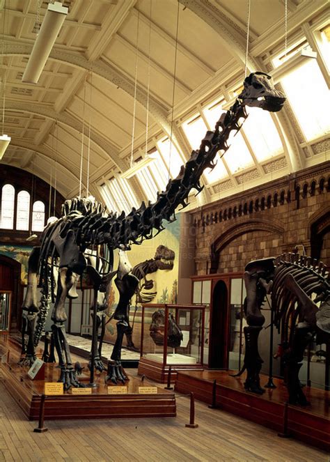 Visitor well-being and NHM’s dinosaur exhibit | EXTINCT MONSTERS