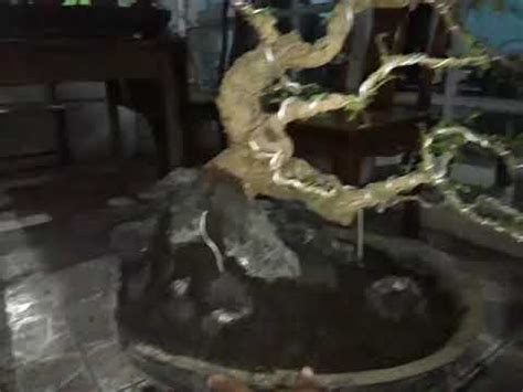 Bonsai Inspirasi Malam Asam Saraf 1 YouTube