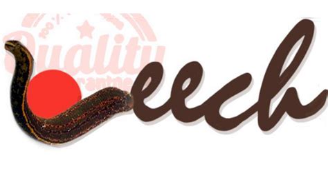 Leeches For Sale Leech Shopping Online