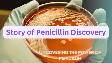 Story Of Penicillin Discovery Uncovering The Power Of Penicillin Go It