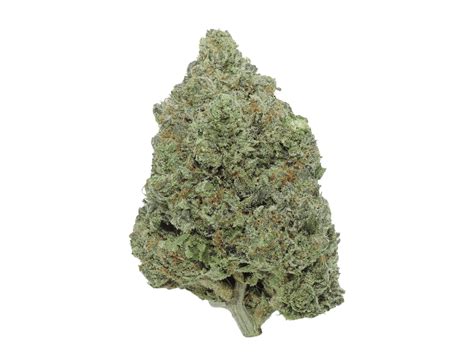 Master Kush Strain Uk Buy Weed Uk