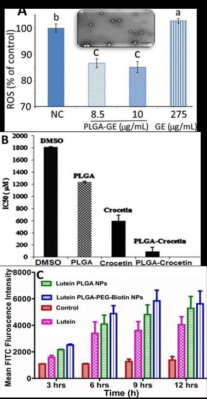 Polylactic Co Glycolic Acid Based Polymeric Nanoparticles For