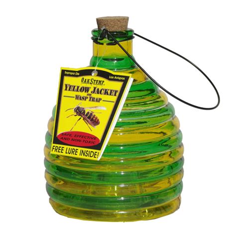 Glass Wasp Trap With Lure