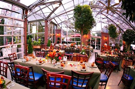 taste  cafe high hand nursery