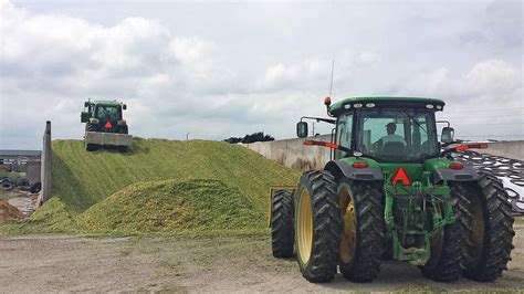 Good practices maximize silage feed value 