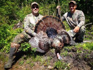 Guided New York Turkey Hunt Eastern View Outfitters