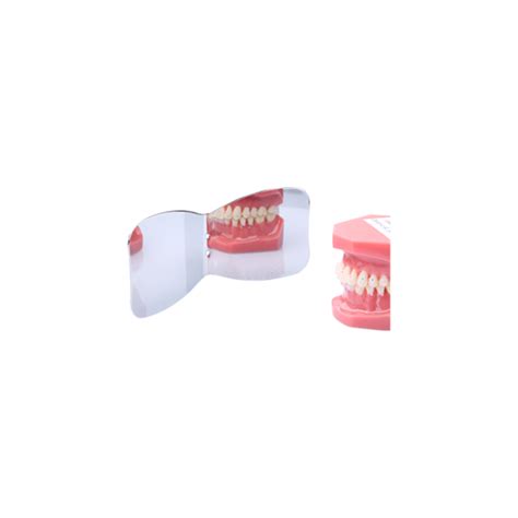 Occlusal Buccal Mirror Clear Fusion