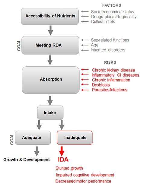 Ida Iron Deficiency Anemia By Off Einvoice Fpt Vn