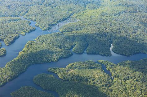 Cúpula de Belém vai afirmar países da Amazônia podem cuidar da floresta