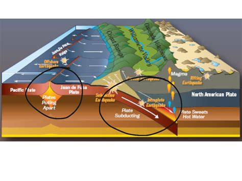 Sea Floor Spreading Diagram Exatin Info