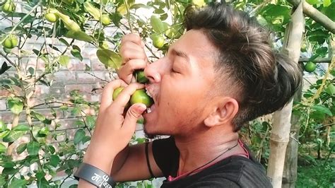 সেই স্বাদ কেনো এতো স্বাদ🥦🥒🌶️🍆🥭🤤 Youtube