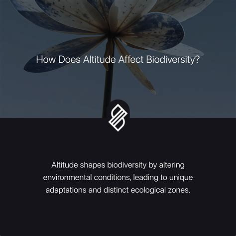 How Does Altitude Affect Biodiversity? → Question