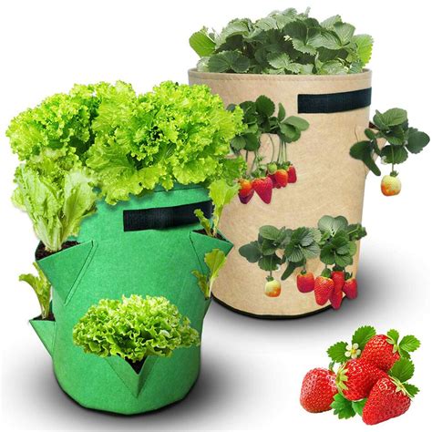 Jardinière Sac de culture en tissu pour fraises légumes tomates pommes