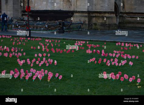 Poppies On College Green Rememberance Day 2018 Bristol Stock Photo