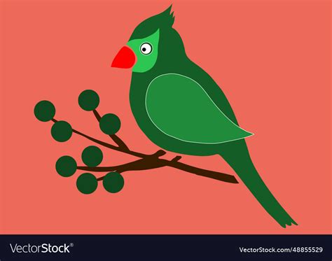 Cardinal bird Royalty Free Vector Image - VectorStock