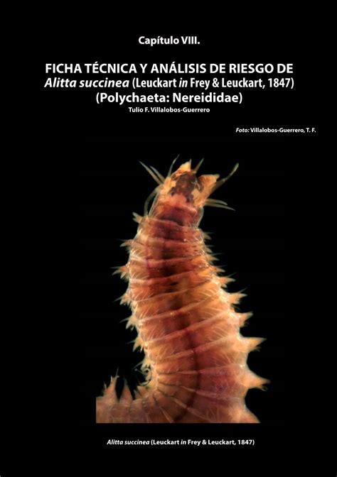 FICHA TÉCNICA Y ANÁLISIS DE RIESGO DE Alitta Succinea (Leuckart in Frey ...