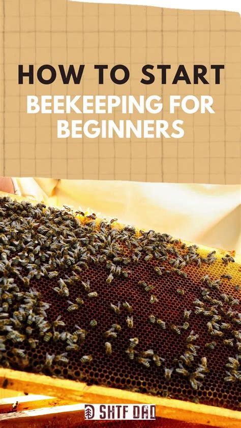 How To Start Beekeeping A Complete Beginner S Guide Artofit