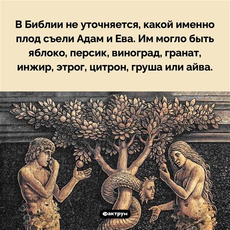 Запретный плод
