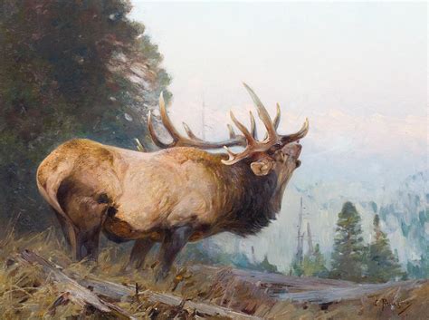 Bugling Elk Painting By Celestial Images Fine Art America