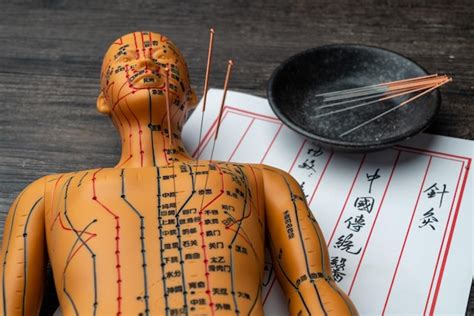 Page 2 Acupuncture Head Images Free Vectors Stock Photos And Psd
