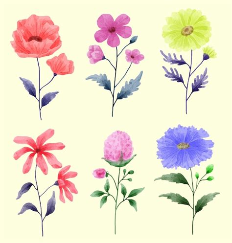 Free Vector A Set Of Flowers Painted With Watercolors To Accompany