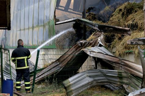 TRHaber Kırklareli nde besi çiftliğindeki yangını söndürme