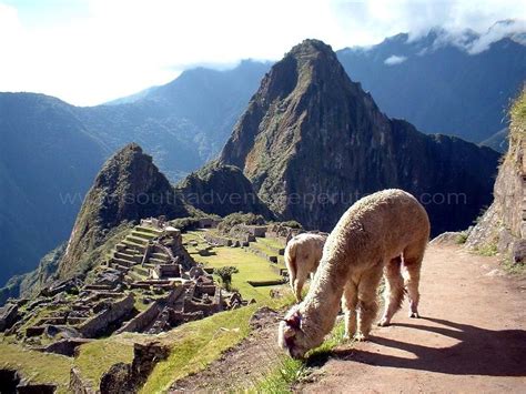 Classic Tour To Machu Picchu With Private Guided Tour Into The Santuary