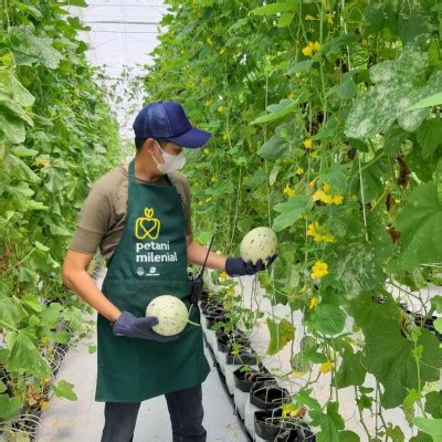 Ingin Jadi Bagian Petani Milenial 2024 Ini Benefit Syarat Dan Cara