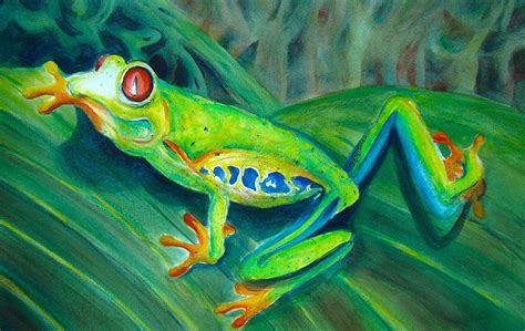 Tree Frog Painting at PaintingValley.com | Explore collection of Tree Frog Painting