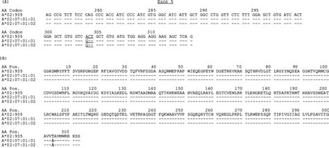 A, From exon 1 to exon 8, the DNA sequence of A*02:935 is identical to ...